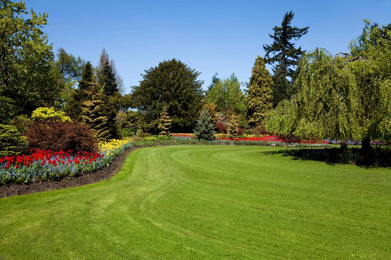 Wide, freshly mown lawn with clean mowing lines around mature trees and hedges